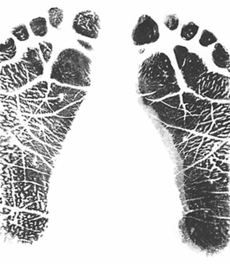 Anthony Quesada Hipolito