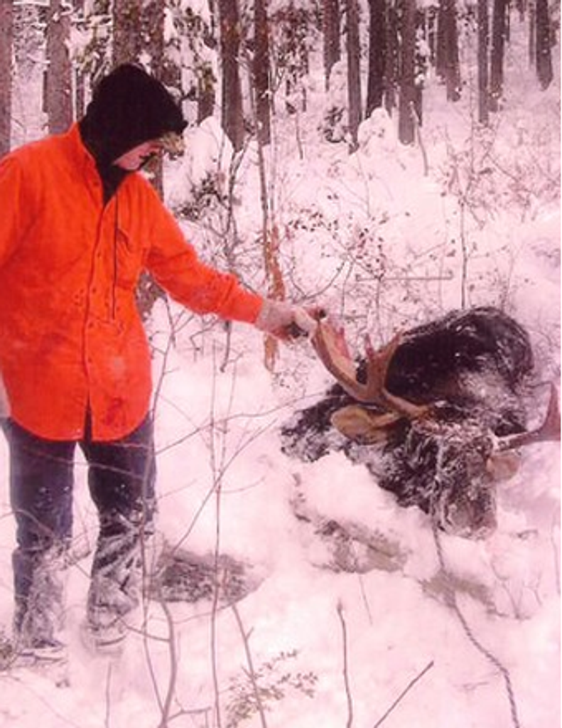 Jay  Dee Lish Profile Photo