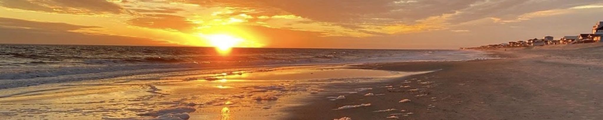 Cover for Cynthia Ann Grant's Obituary