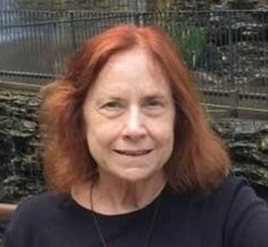 Judy (Long) Mcdiffett Profile Photo