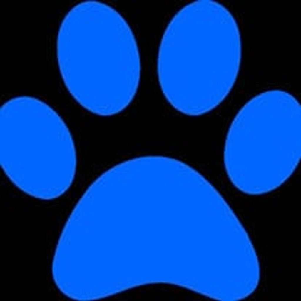Elmer Johnston Profile Photo