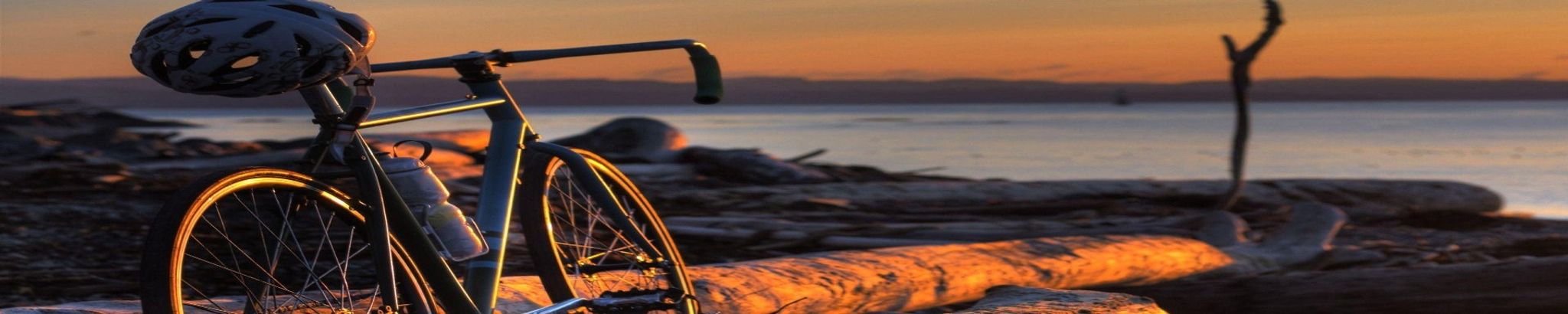 Cover for David W. Dinger's Obituary