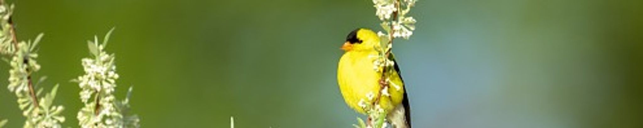 Cover for John R. Benson's Obituary