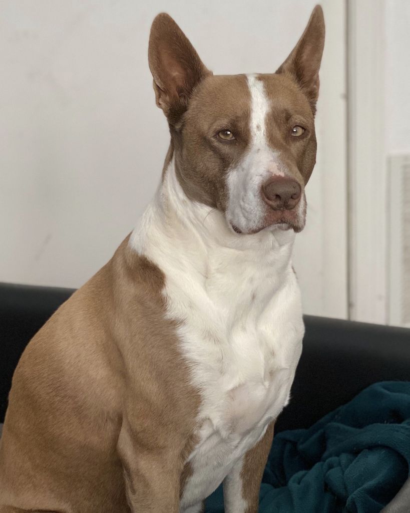 Chelsea Nieves Profile Photo