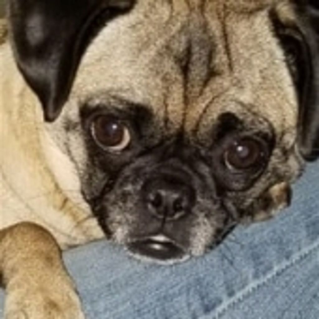 Nala Ellegood