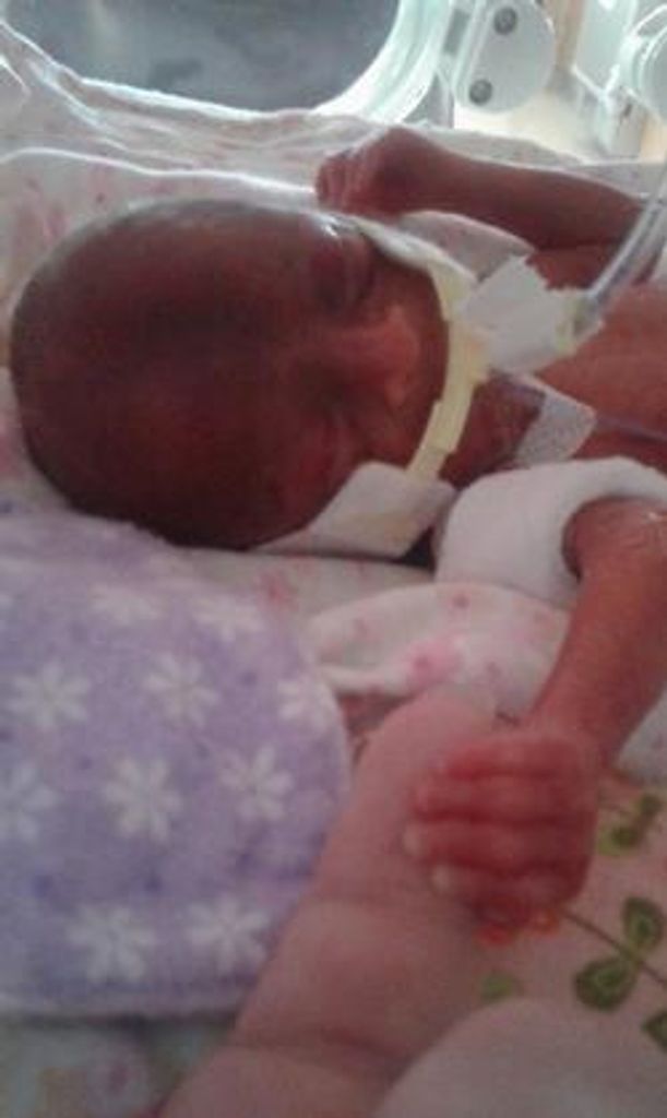 Isabella Rose Swenson Profile Photo