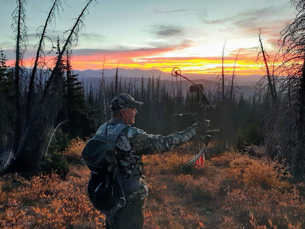 John Doyle Bruce Profile Photo