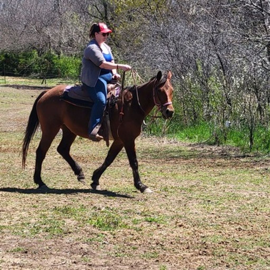 Sarah Jean Kemp Profile Photo