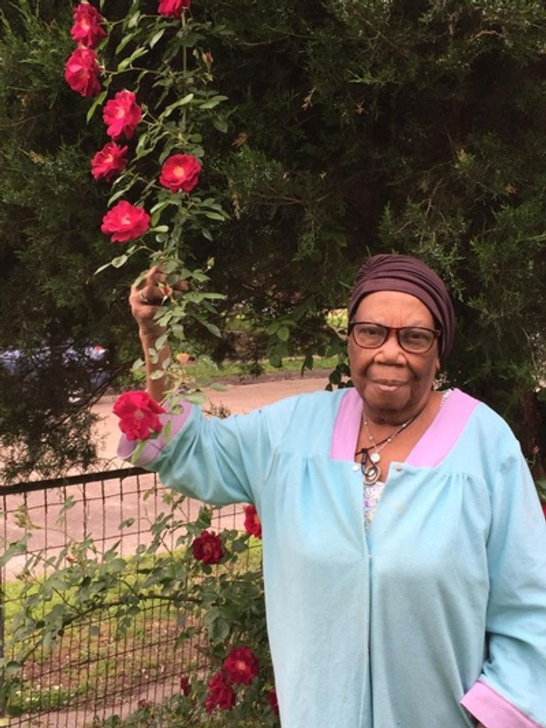 Mary Ellen Siner Profile Photo