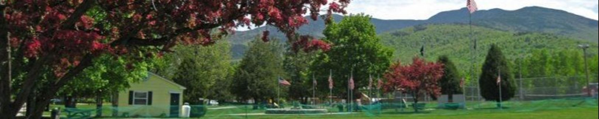 Cover for Patricia S. Bernier's Obituary