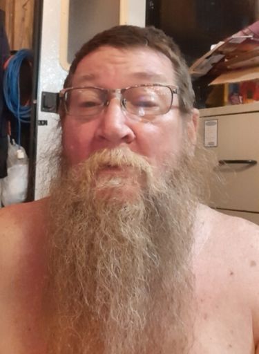 David E. Reineke Profile Photo
