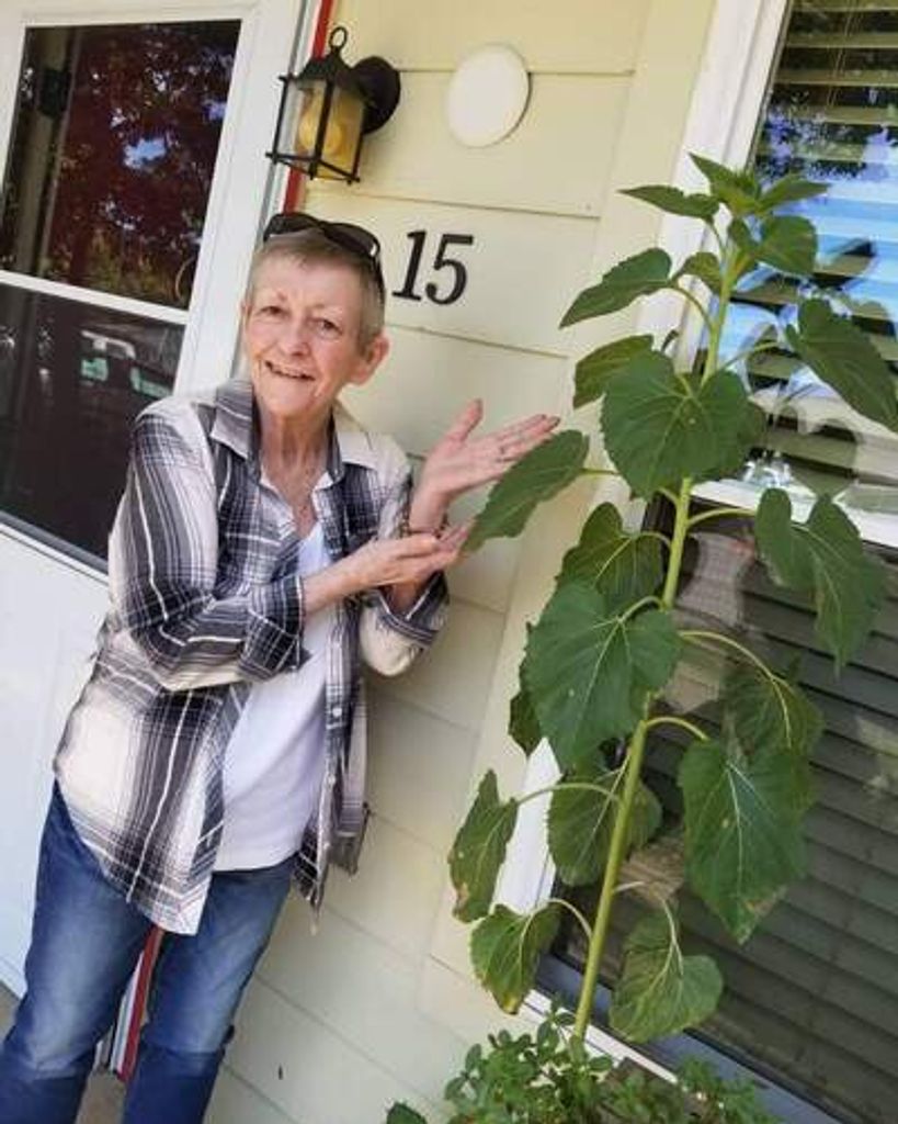Earlyne "Pearl" Ann Schmult Profile Photo