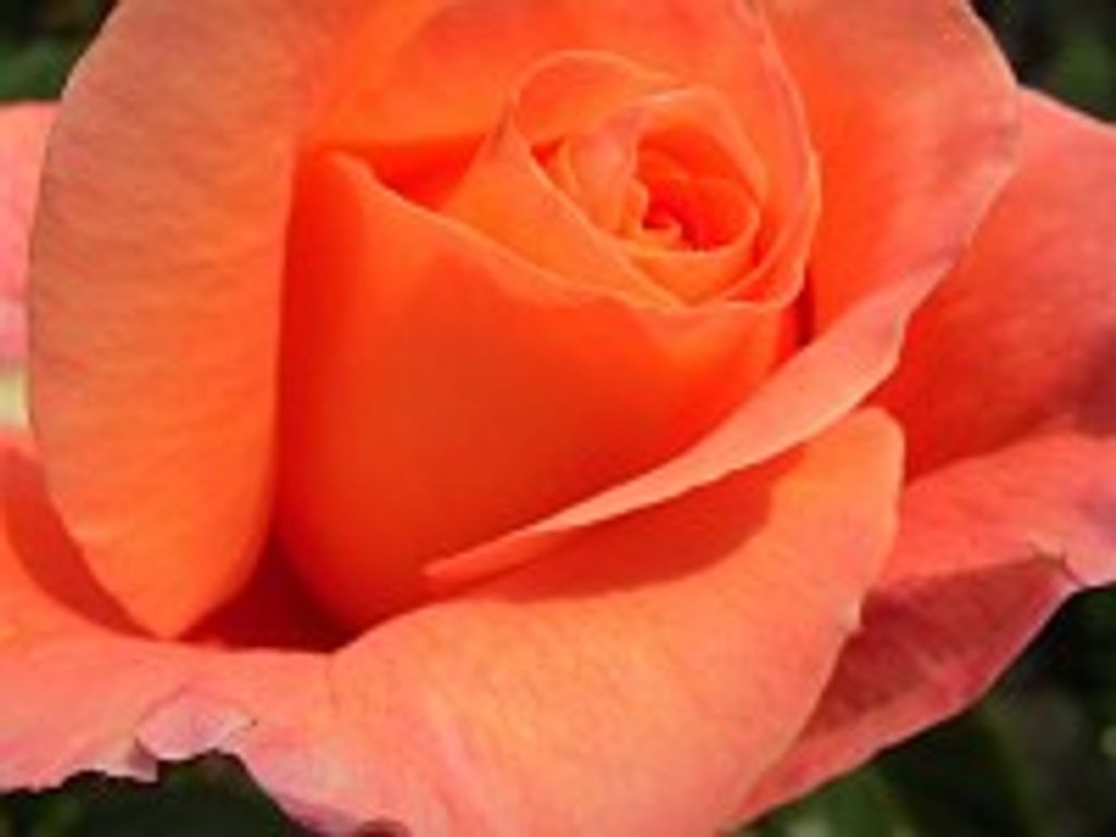 Delois Ann (Weston)  Moore Profile Photo