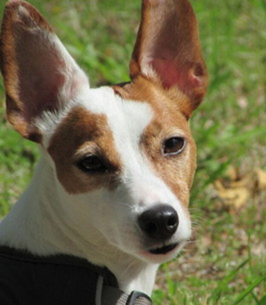 Nui Miller Profile Photo