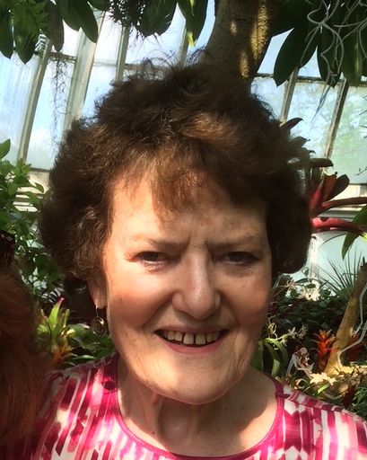 Maeve B. Nolan's obituary image