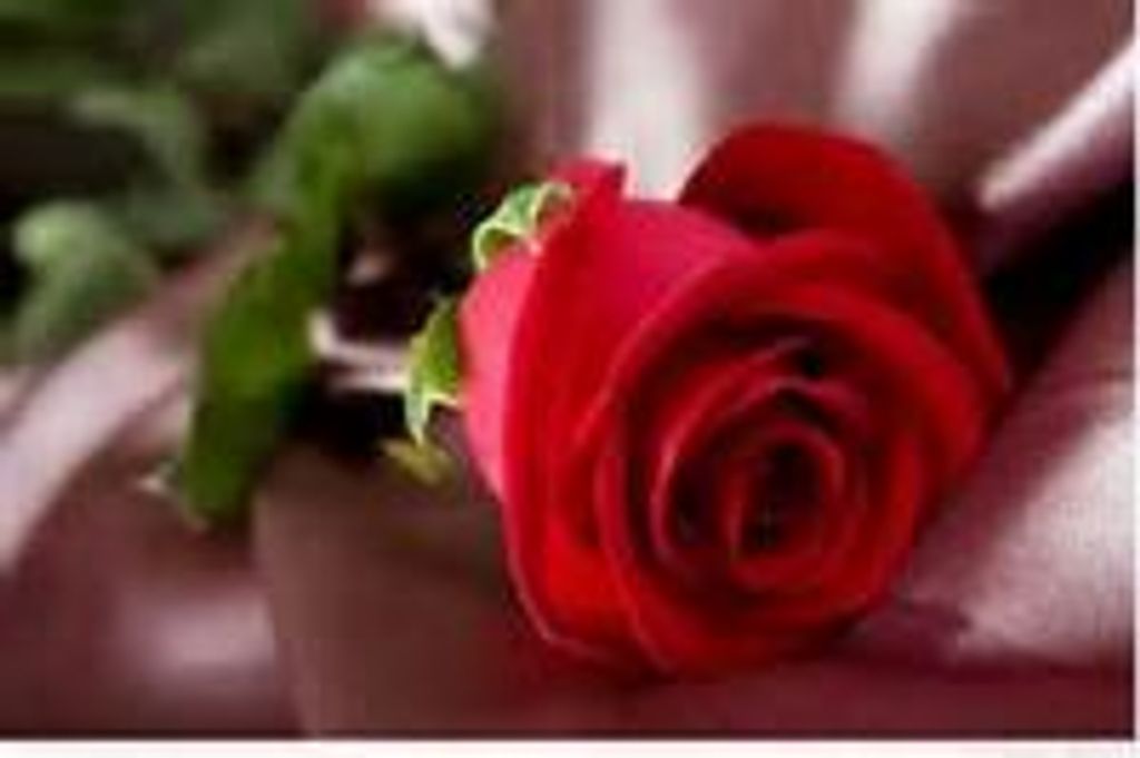 Desiree Gabrielle Wolf