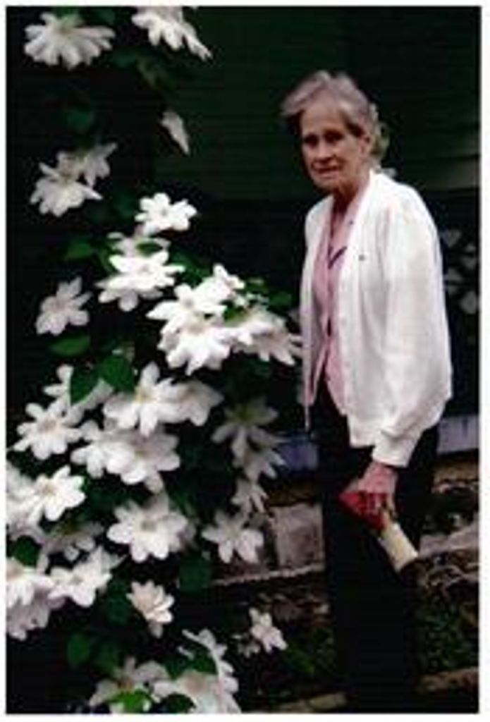 MARY AILENE STRUNK