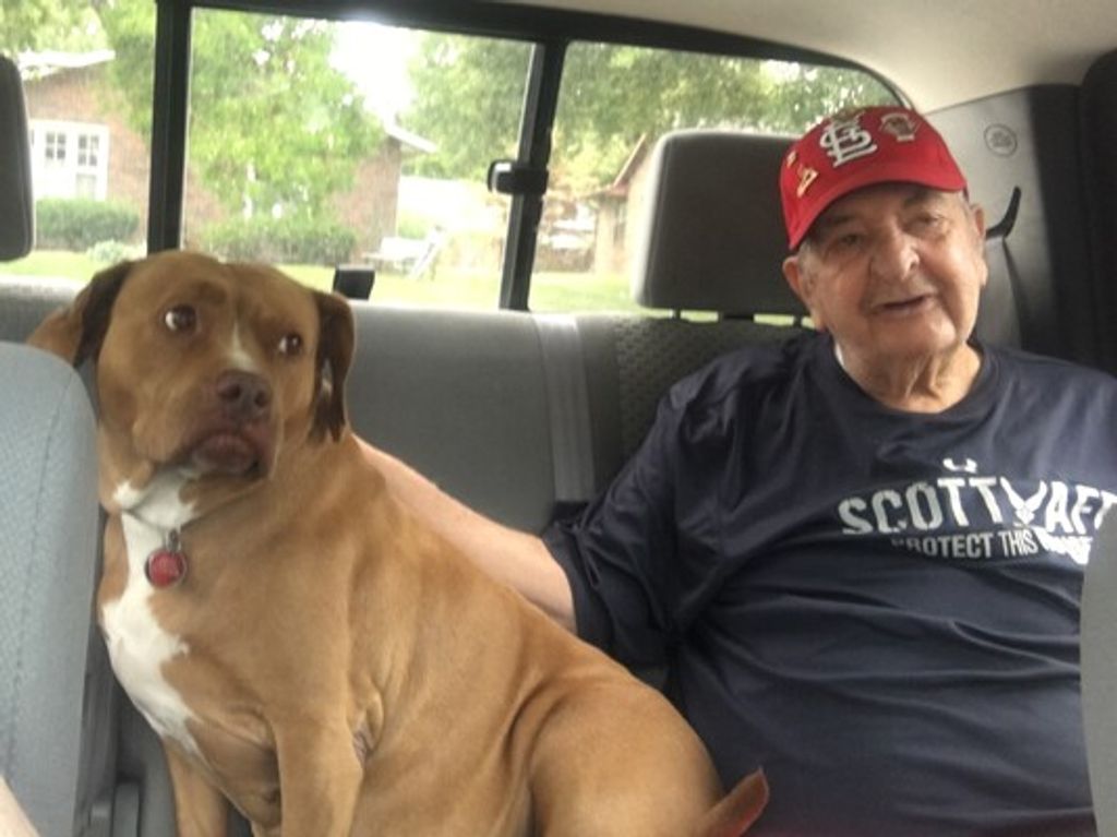 John A. Bagnarelli Profile Photo