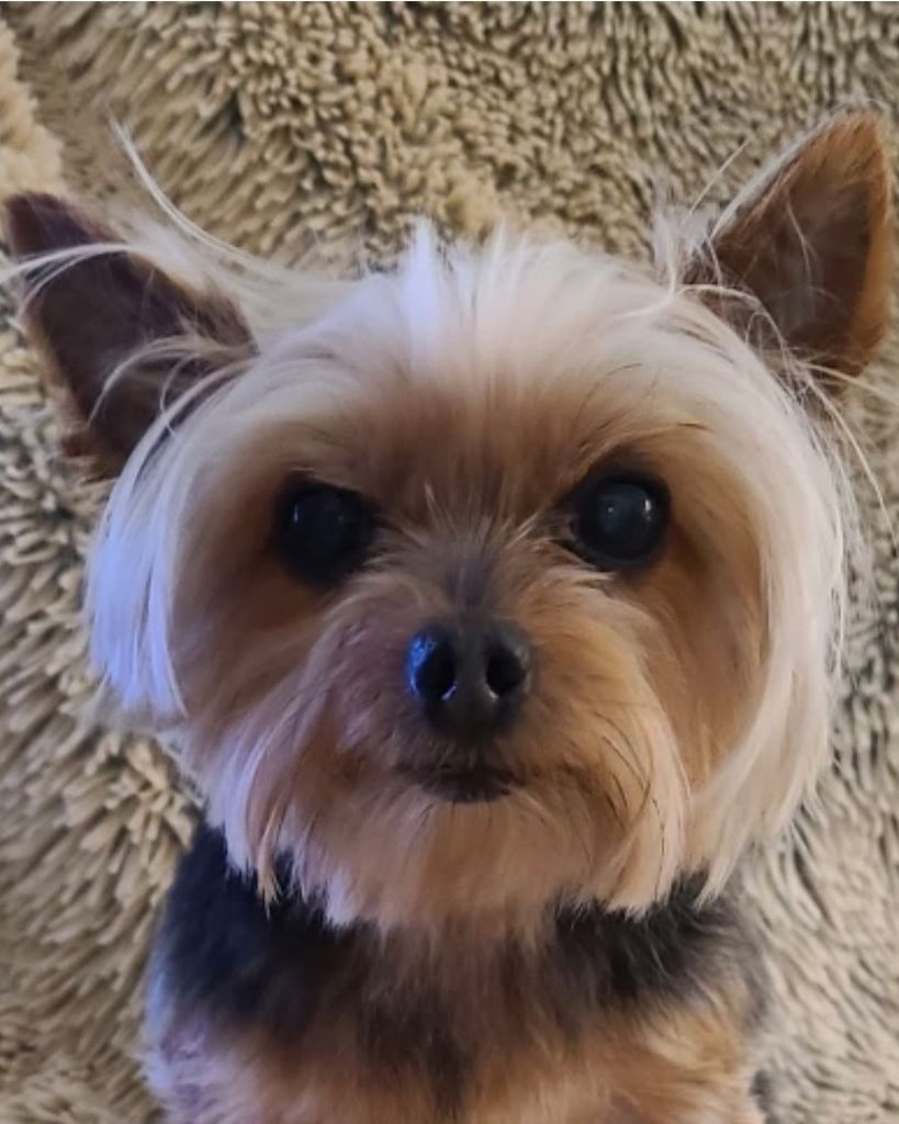 Gabbie McMahan Profile Photo