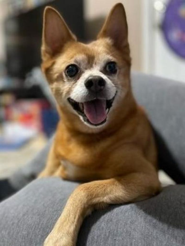 Penelope Glenn Coco Murphy Profile Photo