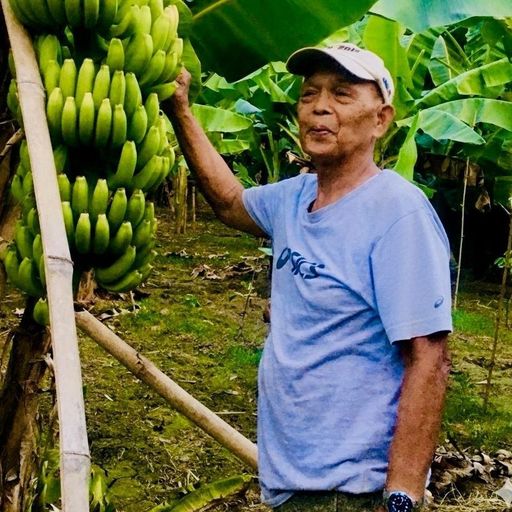 Fredy "Papa" Ancheta Martinez Profile Photo