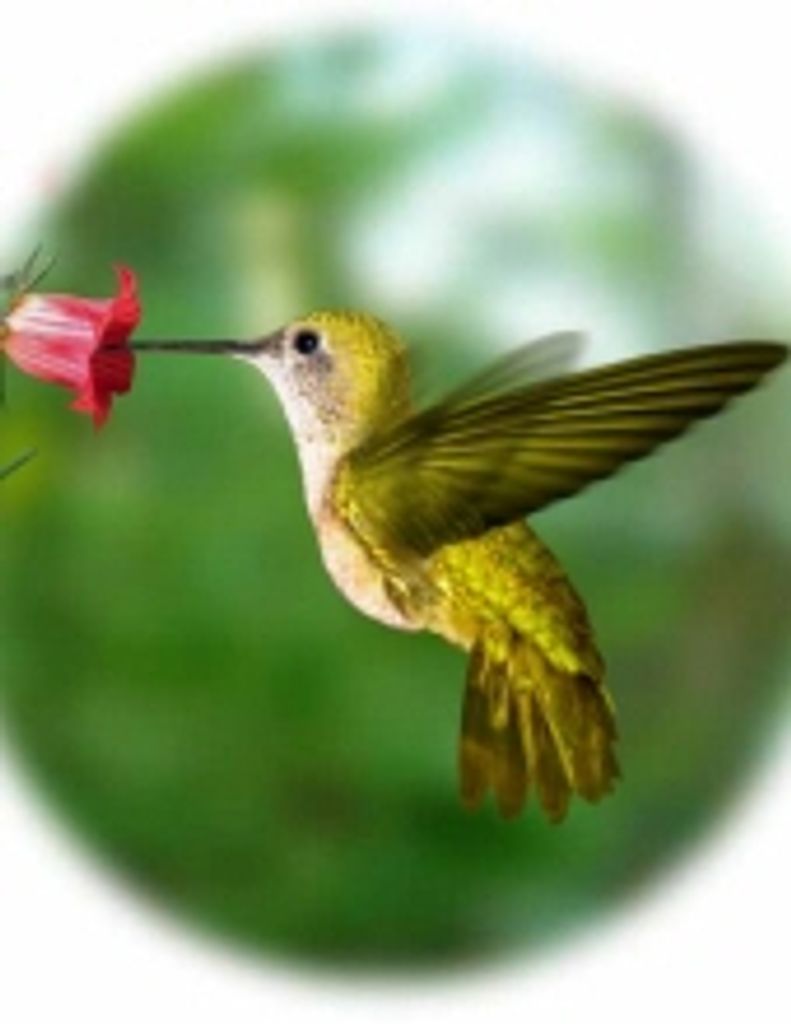 Katherine Blanche Carr Raymond -Glbfh