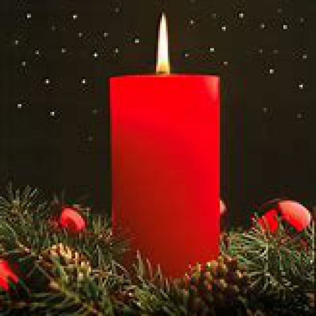 Sarah Cunningham Liles Profile Photo