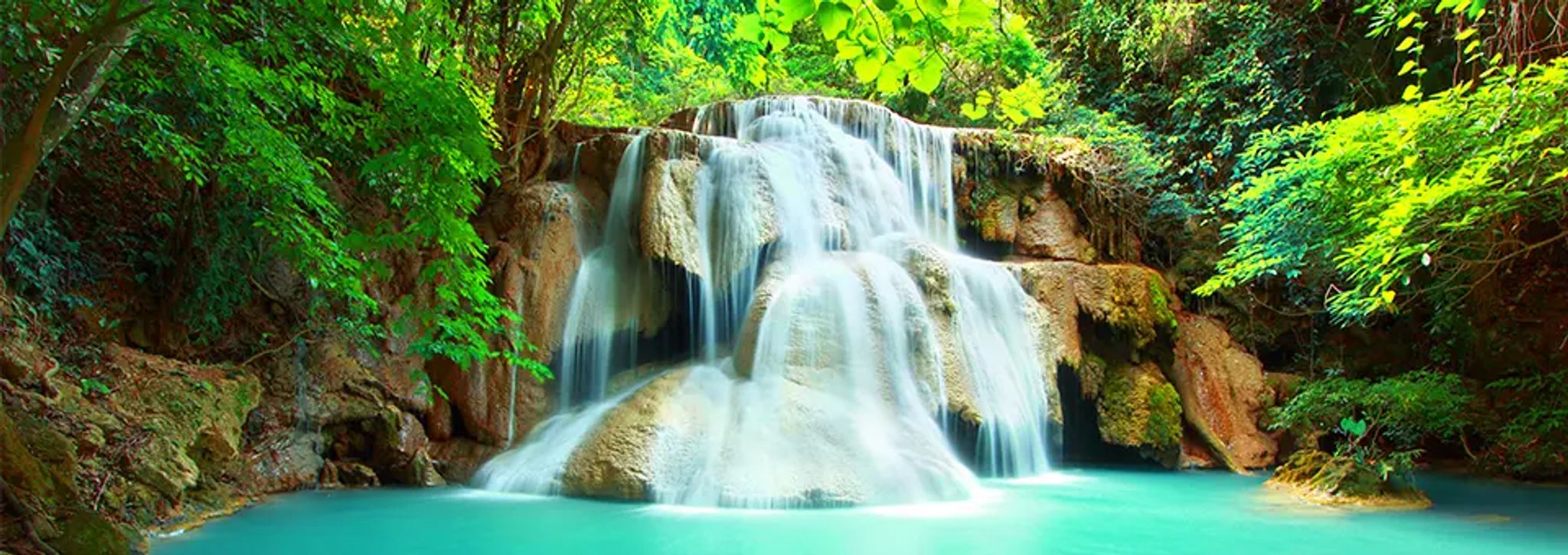 Cover for Minh Quang Nguyen's Obituary