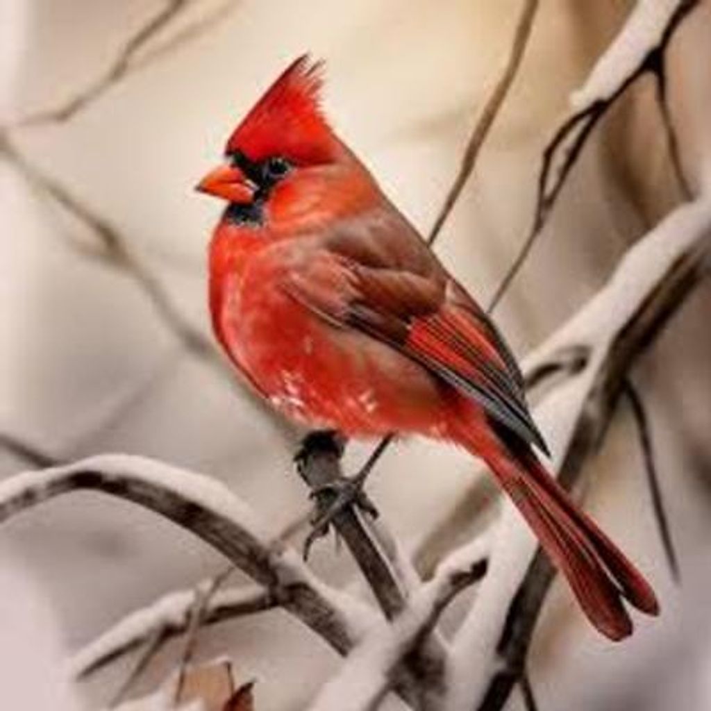 Winnie Florine Burns Gill Profile Photo