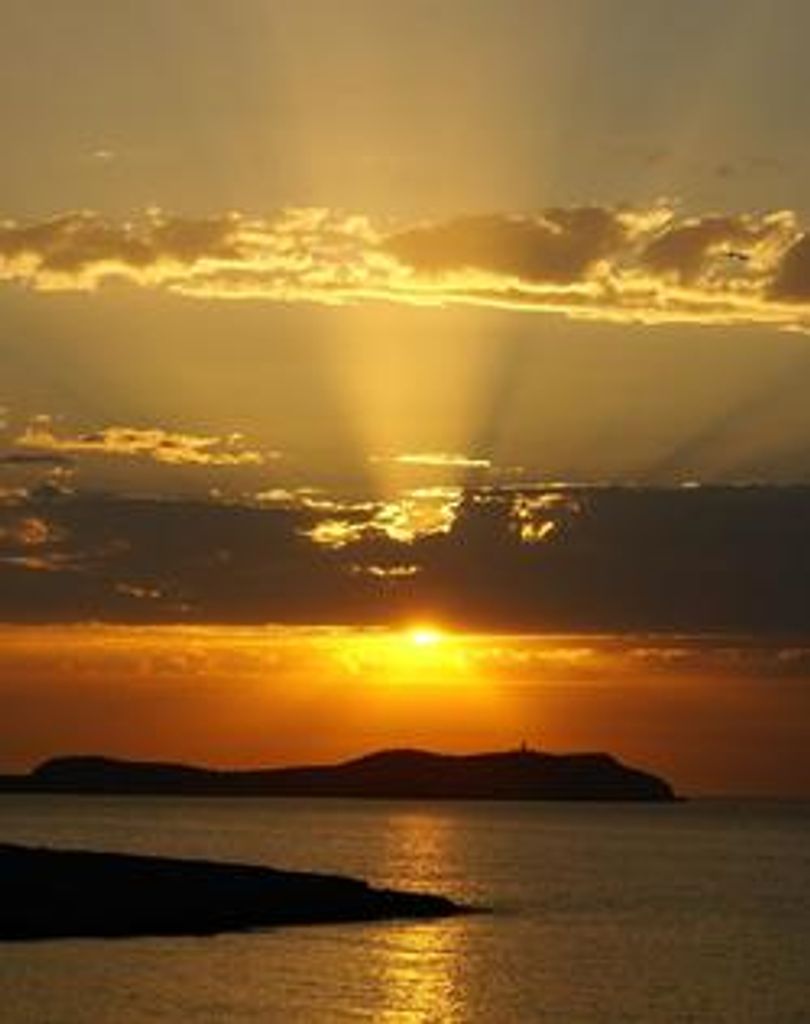 Donald A. Becker Profile Photo