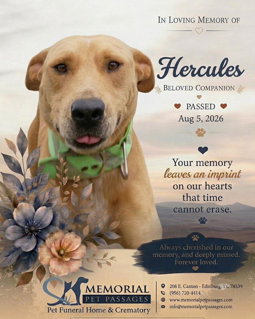 Hercules Profile Photo