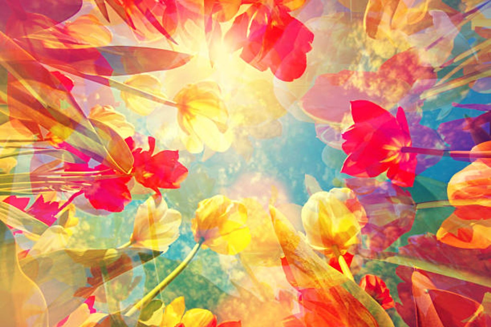Cover photo for Maria  T. Pietrusiewicz's Obituary