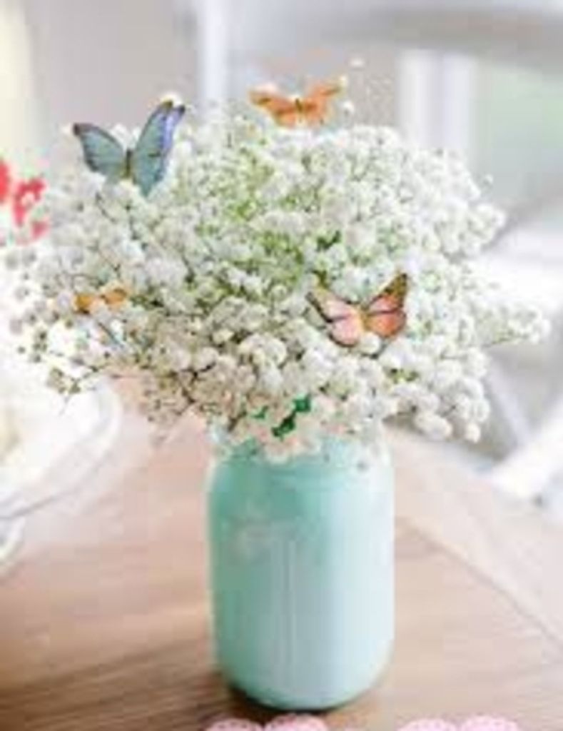 Charlotte Ann Luckstone