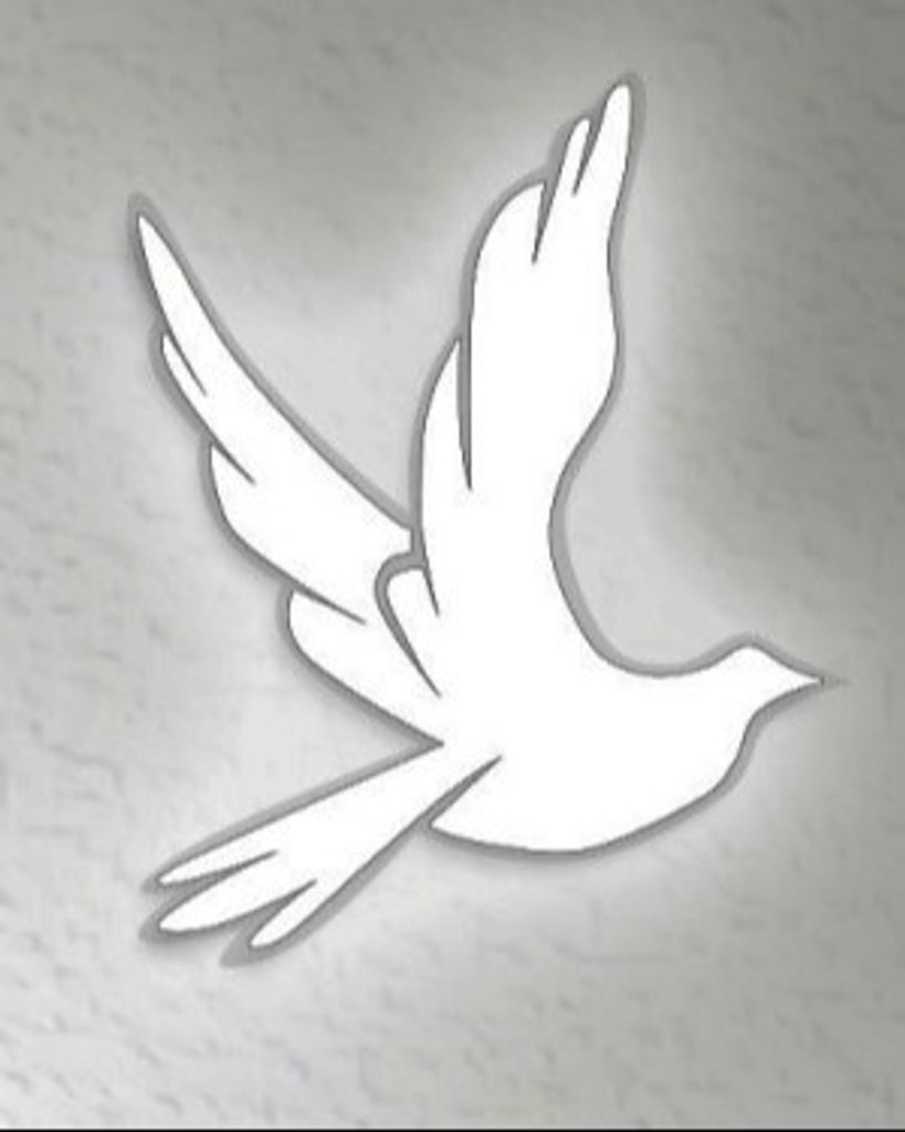 Mark Wilson Profile Photo