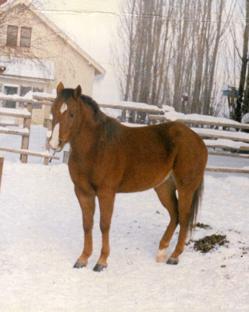 Edward "Ed" Lee Owens Profile Photo