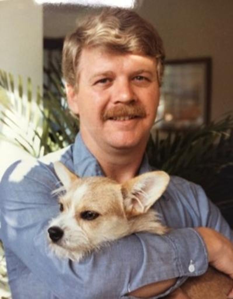David Harmon Lilly,Vmd Profile Photo