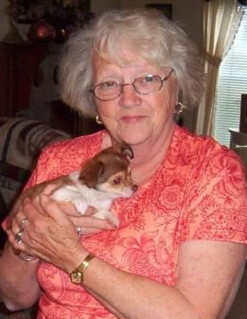 Beatrice Ann (Reece)  Squires Profile Photo
