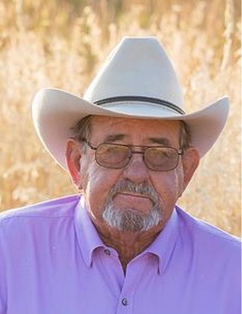 Craig N Wright Profile Photo