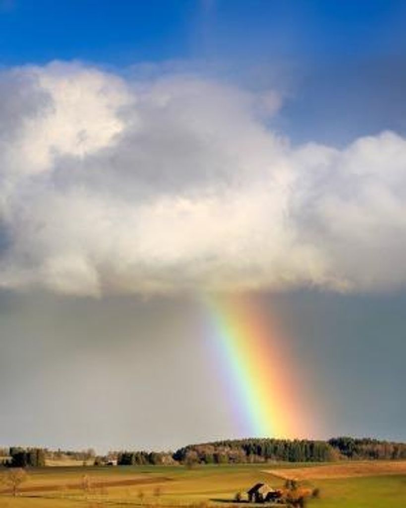 Wayne H Bolster Profile Photo