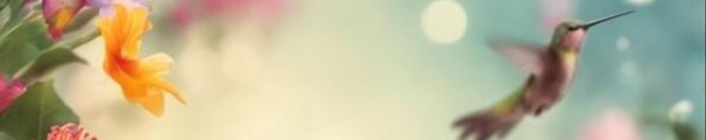 Cover photo for Brenda L. Williams's Obituary