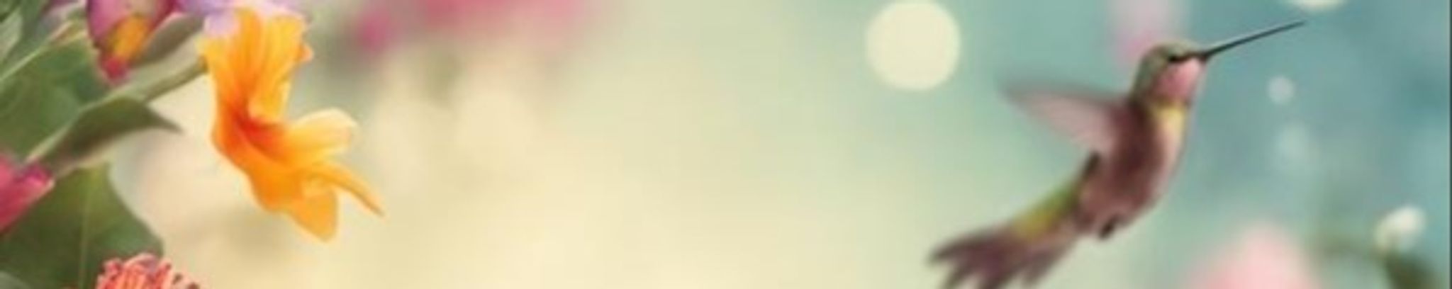 Cover for Jackie Whitcomb's Obituary