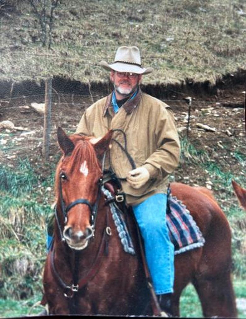 David Williams Profile Photo
