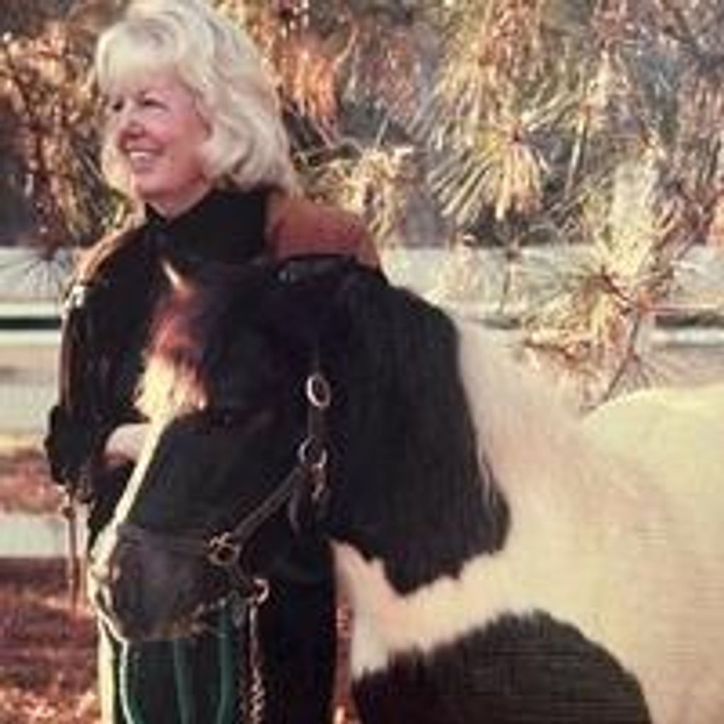 Sandra H. Wohlers Profile Photo