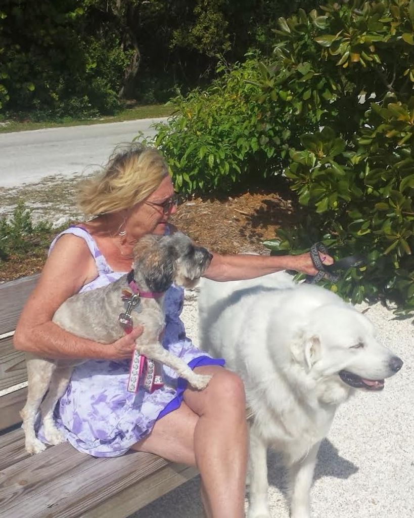 Sheila Dever Profile Photo