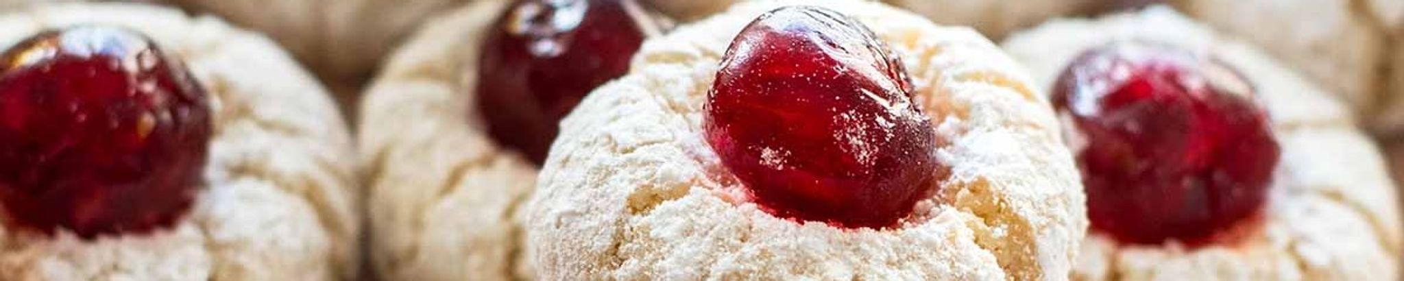 Cover for Vincenza Patriarca's Obituary