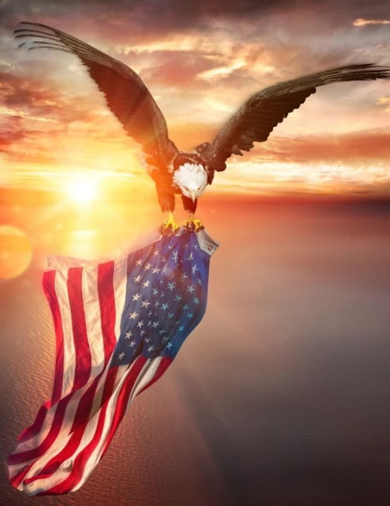 Elwood Jessie Bachus, Jr.