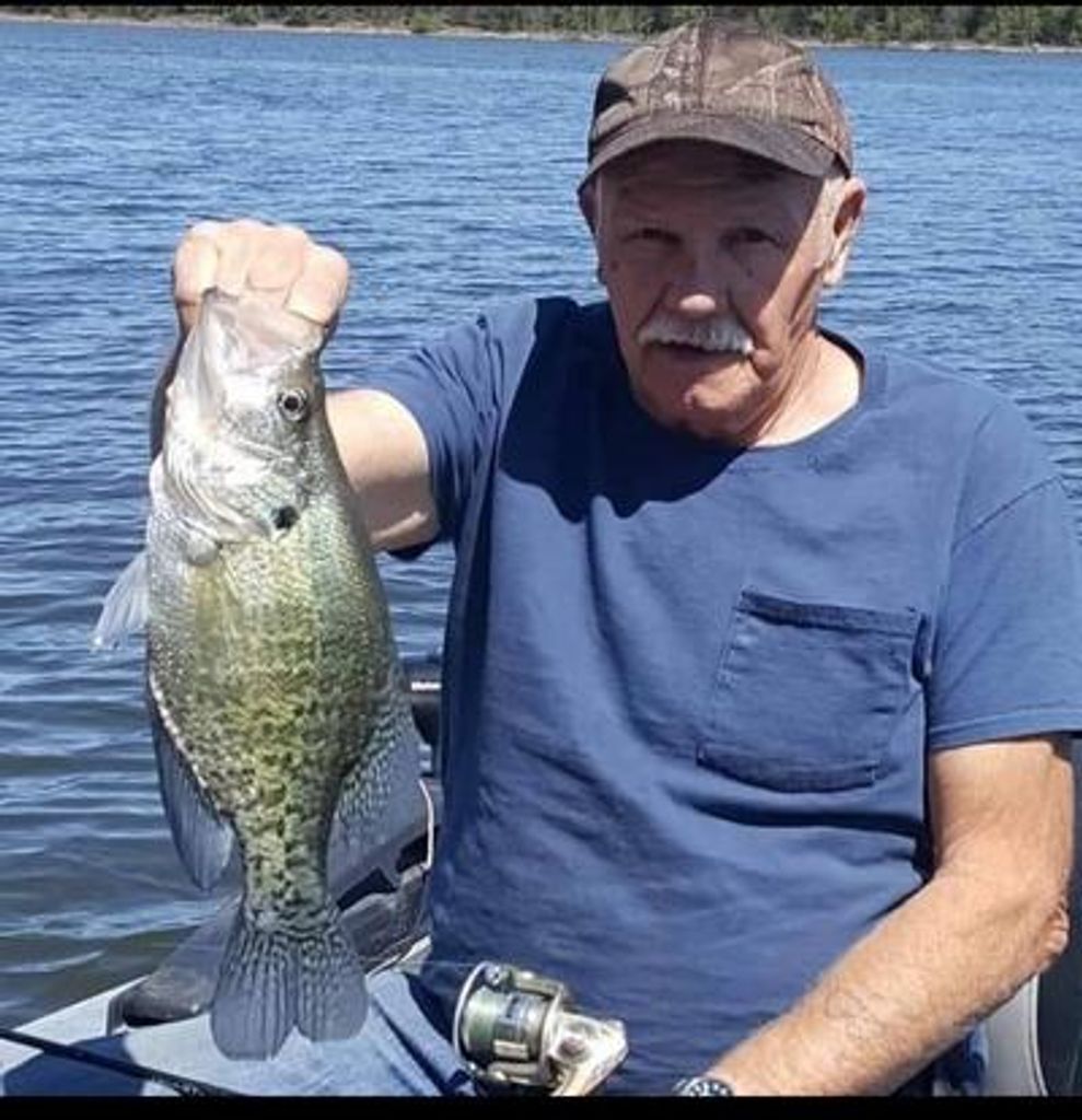 David William Herring Profile Photo