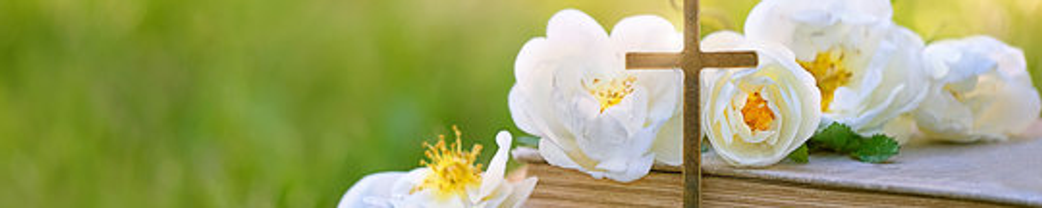 Cover photo for Juanita Irene LeDesma's Obituary