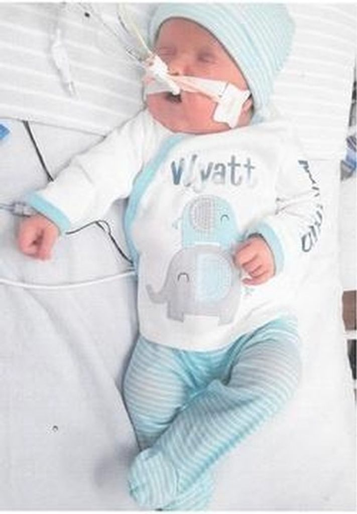 Wyatt Maximillion Cingolani