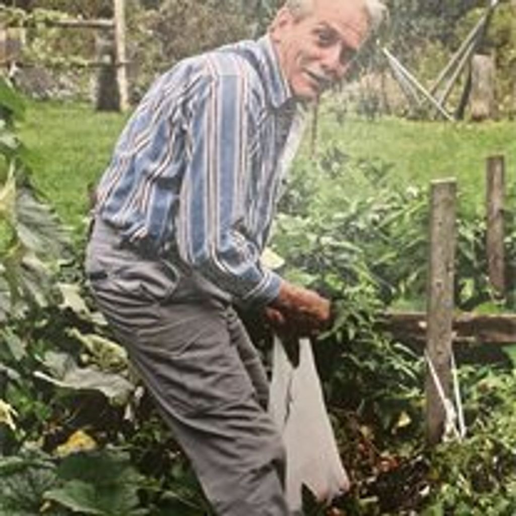 Roberto "Robert" Narracci